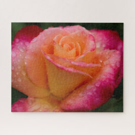 Quebra-cabeça Raindrops No duro Rosa 16x20