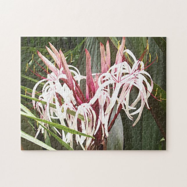 Quebra-cabeça Rainha Emma Crinum Lily (Horizontal)