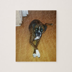 Quebra-cabeça rajado da foto do cão do pugilista