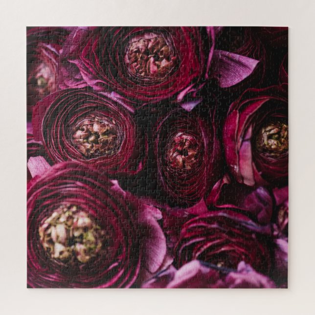 Quebra-cabeça Ranunculus Roxo Escuro, Um Fecho Espantoso. (Vertical)