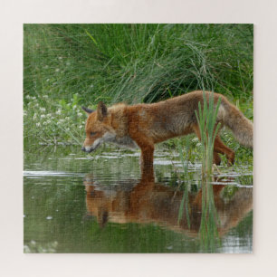 Quebra-cabeça Raposa no lago