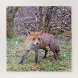 Quebra-cabeça Raposa Vermelha Cura