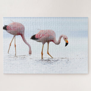 Quebra-cabeça Raros Pássaro Rosa Flamingo, Andino, Chile