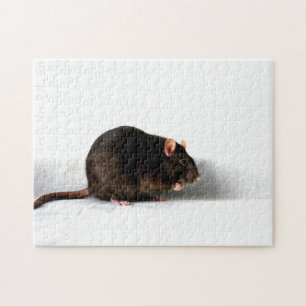 Quebra-cabeça Rat 11x14 252pc jpcn