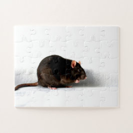 Quebra-cabeça Rat 11x14 jpcna 30pc