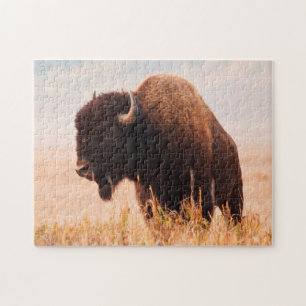 Quebra-cabeça Rebanho de Bisão Americano (Bison Bison) em Teton