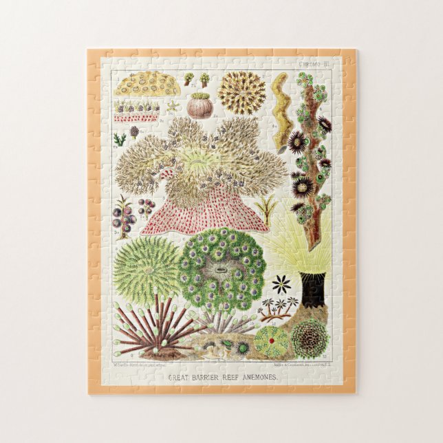 Quebra-cabeça Recife de Barreira de excelentes dos Anêmonos da A (Vertical)