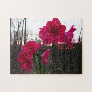 Quebra-cabeça Red Amaryllis e Winter Sunrise