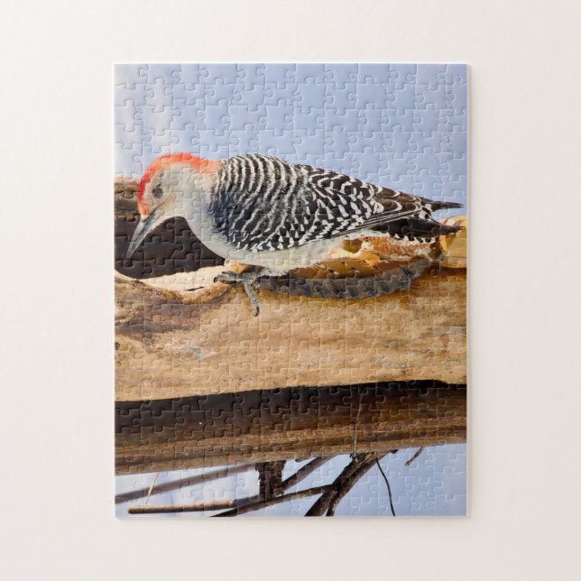 Quebra-cabeça Red-Bellied Woodpecker Jigsaw Puzzle (Vertical)