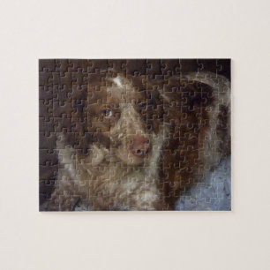 Quebra-cabeça Red Brittany Spaniel dog épagneul breton roux