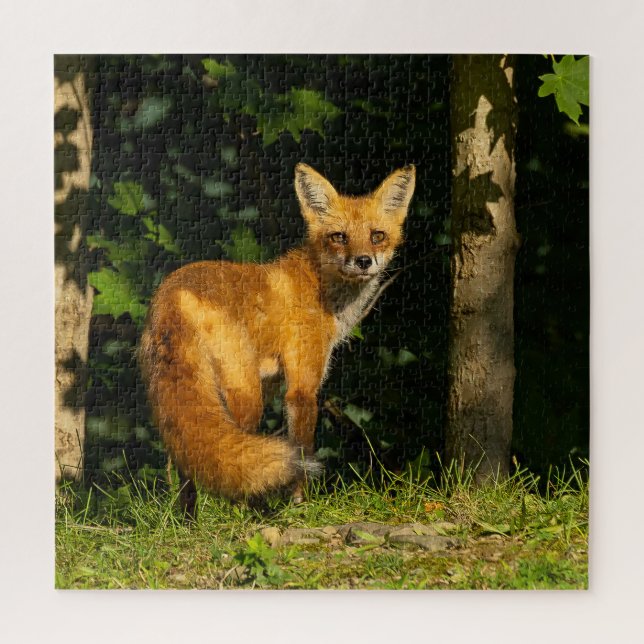 Quebra-cabeça Red Fox Beauty (Vertical)