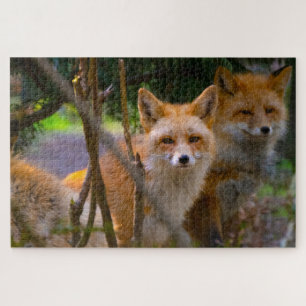 Quebra-cabeça Red Fox Family Desafiando o Lover da Natureza
