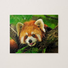 Quebra-cabeça Red Panda Jigsera