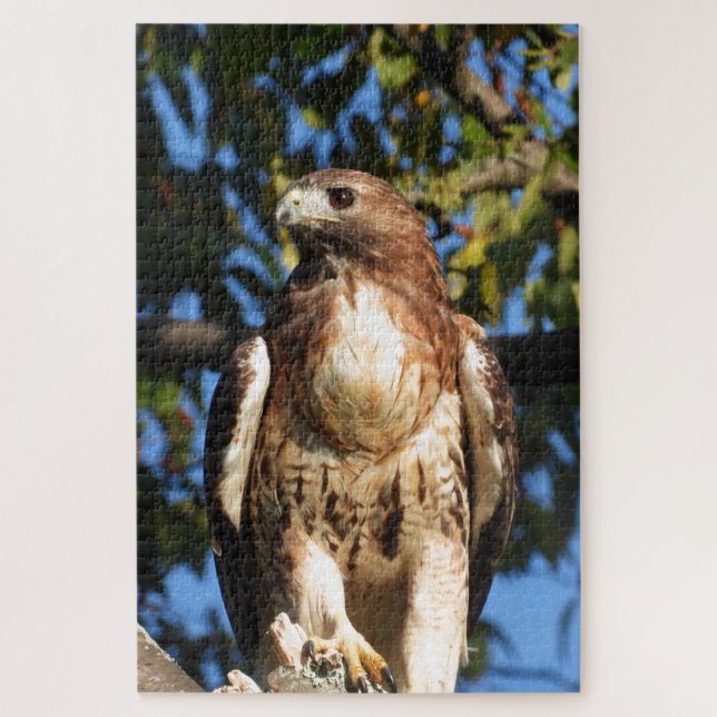 Quebra-cabeça Red Tail Hawk, Pássaro De Pé (Vertical)