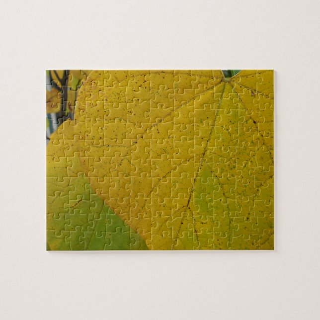 Quebra-cabeça Redbud Amarelo deixa fotografia do outono (Horizontal)