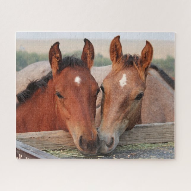 Quebra-cabeça Refeições Equestres (Horizontal)