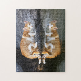 Quebra-cabeça Reflexão Gato em Água de Pond, Jogo