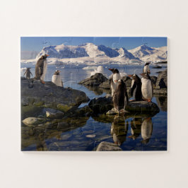 Quebra-cabeça Reflexões de Gentoo Penguins na Antártida