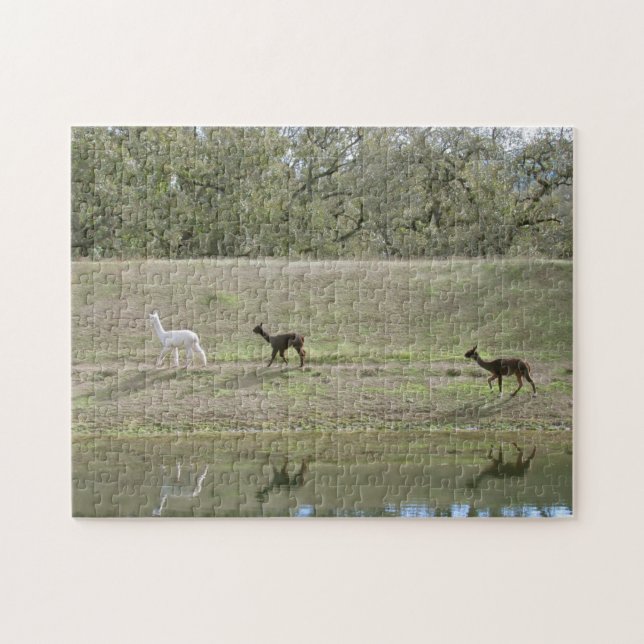 Quebra-cabeça - Reflexões do Alpaca (Horizontal)