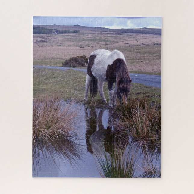 Quebra-cabeça Reflexões do Parque Nacional Pony Dartmoor (Vertical)