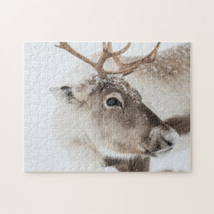 Quebra-cabeça Reindeer em Neve