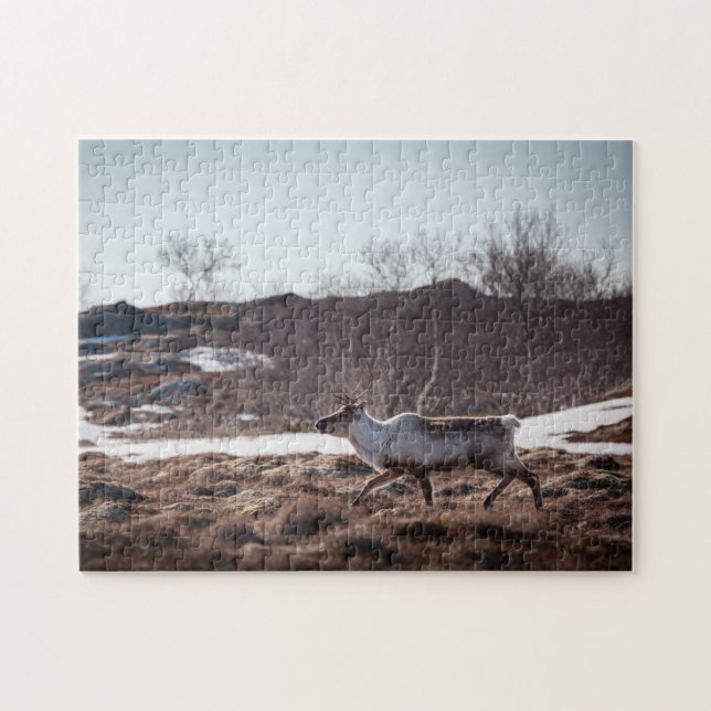 Quebra-cabeça Reindeer Nature Photo (Horizontal)