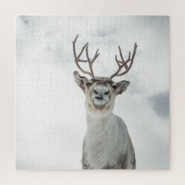 Quebra-cabeça Reindeer Nature Photo