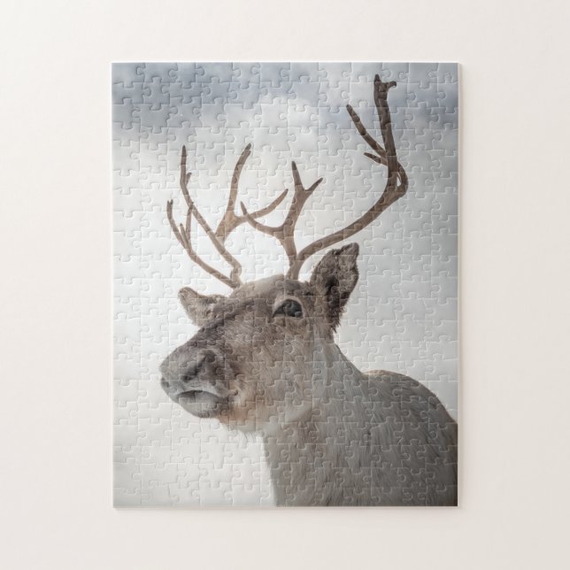 Quebra-cabeça Reindeer Nature Photo (Vertical)