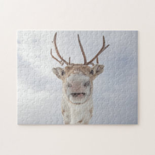 Quebra-cabeça Reindeer Photo