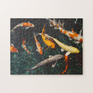 Quebra-cabeça Relaxando Peixe Koi Orange e White Asiático