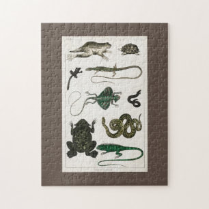 Quebra-cabeça réptil, fofo, lagarto, animal, répteis, tartaruga