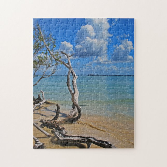 Quebra-cabeça Restos para cegar a passagem (Vertical)