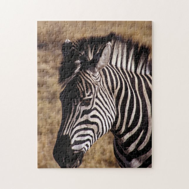 Quebra-cabeça Retrato aproximado de uma Zebra - Zimbabué, África (Vertical)