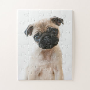 Quebra-cabeça Retrato de Baby Pug