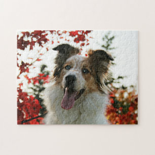 Quebra-cabeça Retrato de Cão-de-Shepherd Australiano