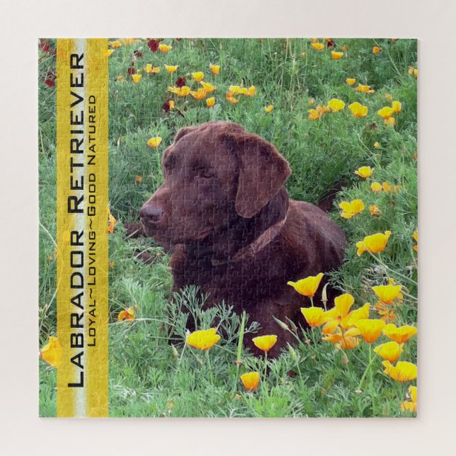 Quebra-cabeça Retrato de Chocolate Retrato California Poppies Mo (Vertical)