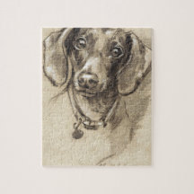 Retrato de Dachshund