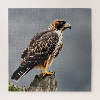 Quebra-cabeça Retrato de Fechamento de um Hawk