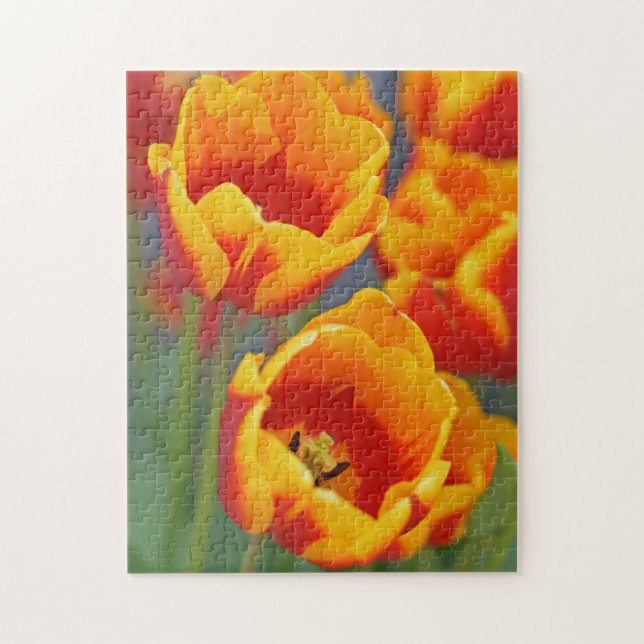 Quebra-cabeça Retrato de Flor de Tulipa Amarela e Vermelha Elega (Vertical)