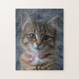 Quebra-cabeça Retrato de gatinho bonito, 252 peças de quebra-cab
