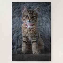 Quebra-cabeça Retrato de gato gatinho bonito, 1014 pedaços