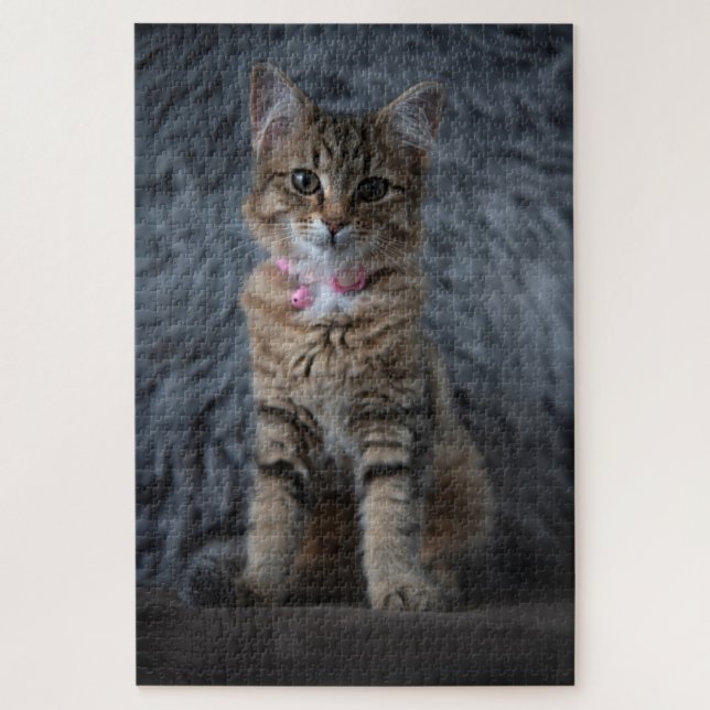 Quebra-cabeça Retrato de gato gatinho bonito, 1014 pedaços (Vertical)