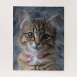 Quebra-cabeça Retrato de gato gatinho bonito, 520 pedaços