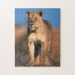 Quebra-cabeça Retrato de Leoa (Panthera Leo)