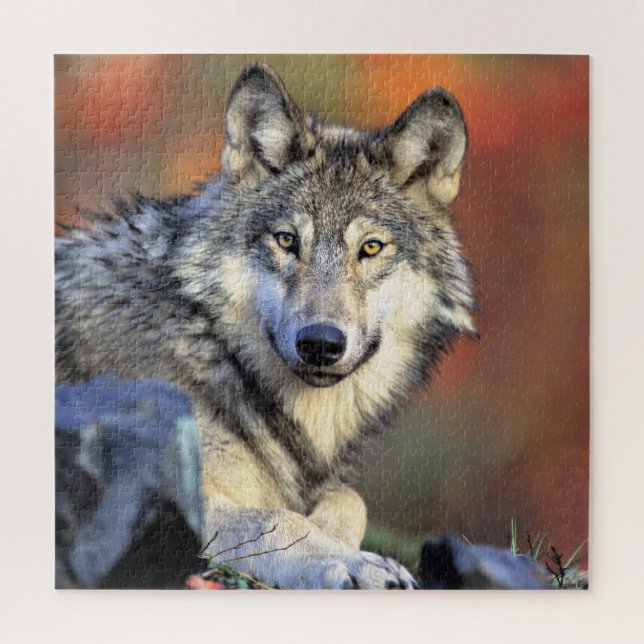 Quebra-cabeça Retrato de Lobo (Vertical)