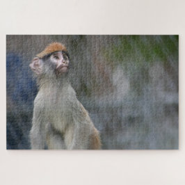 Quebra-cabeça Retrato de macaco