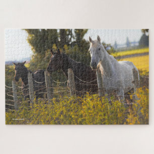 Quebra-cabeça Retrato de outono de três cavalos