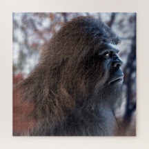 RETRATO DE SASQUATCH DE PÉ-GRANDE NO PERFIL NO DUS