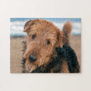Quebra-cabeça Retrato de um Airedale Terrier