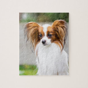 Quebra-cabeça Retrato de um cão do papillon